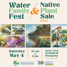 a poster for the water and native family and plant fest