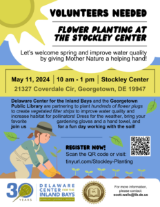 a flyer for volunteer needed flower planting at the stockley center