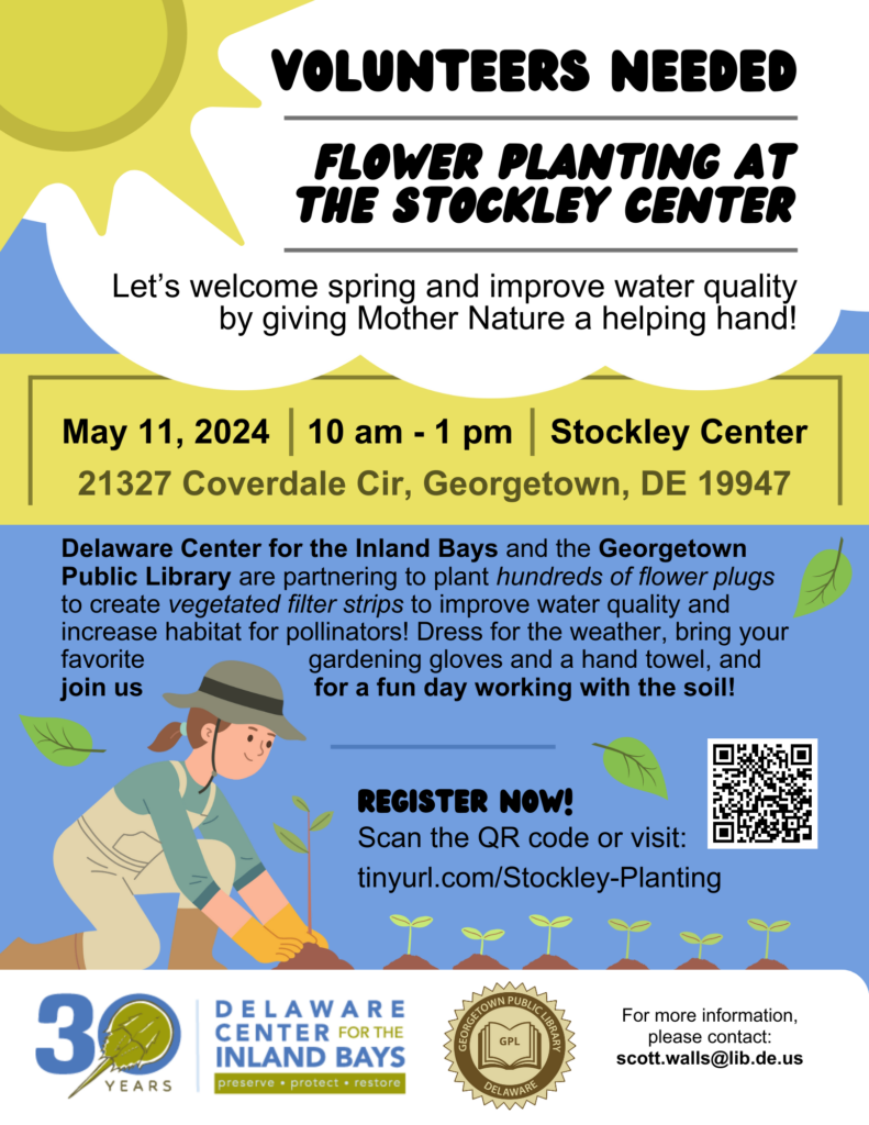 a flyer for volunteer needed flower planting at the stockley center