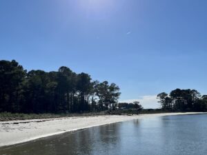 the sun shines brightly over a sandy beach