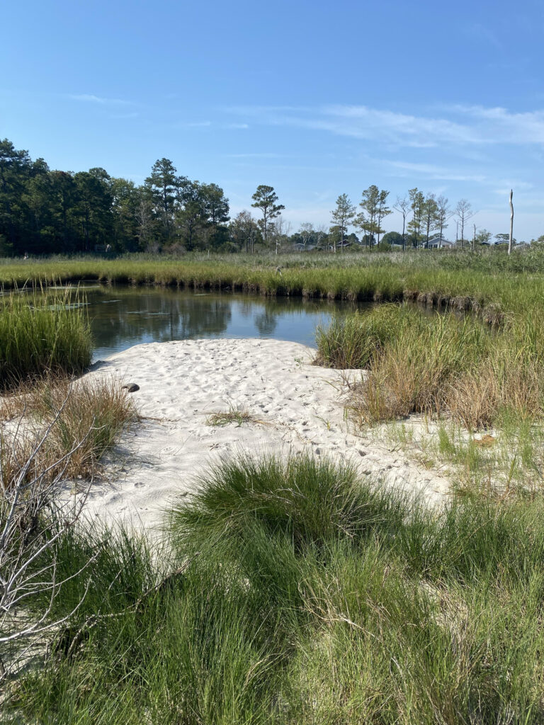 a sandy area with grass and water in the background