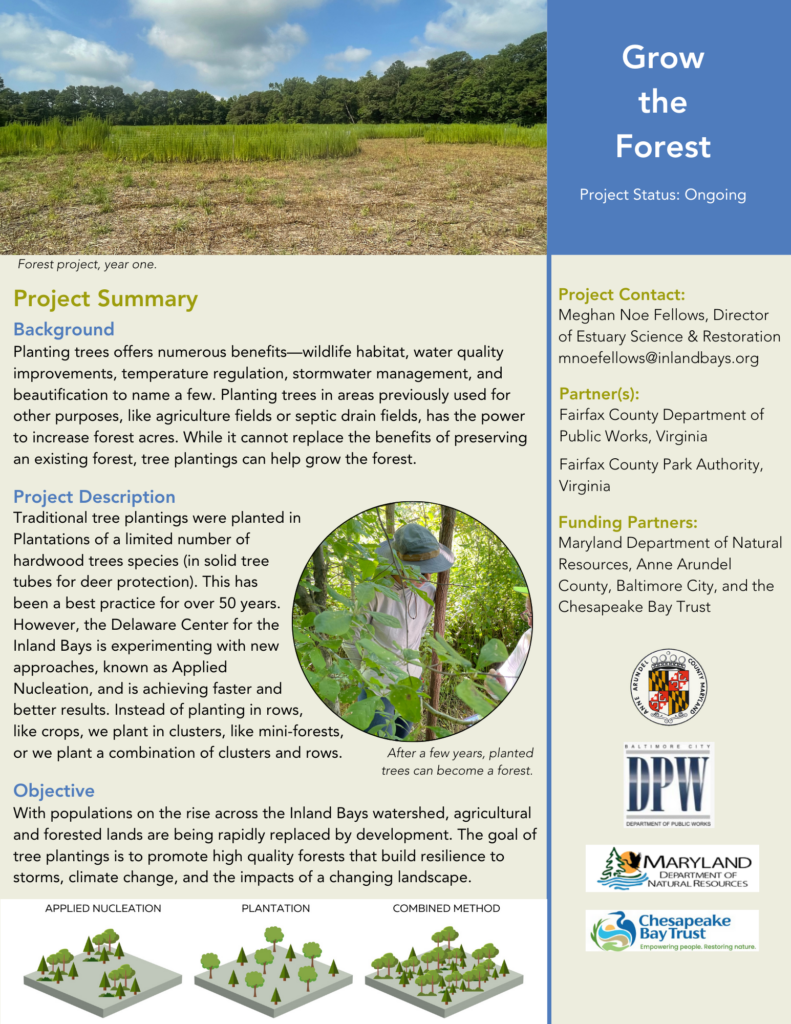 a brochure for a project in the forest