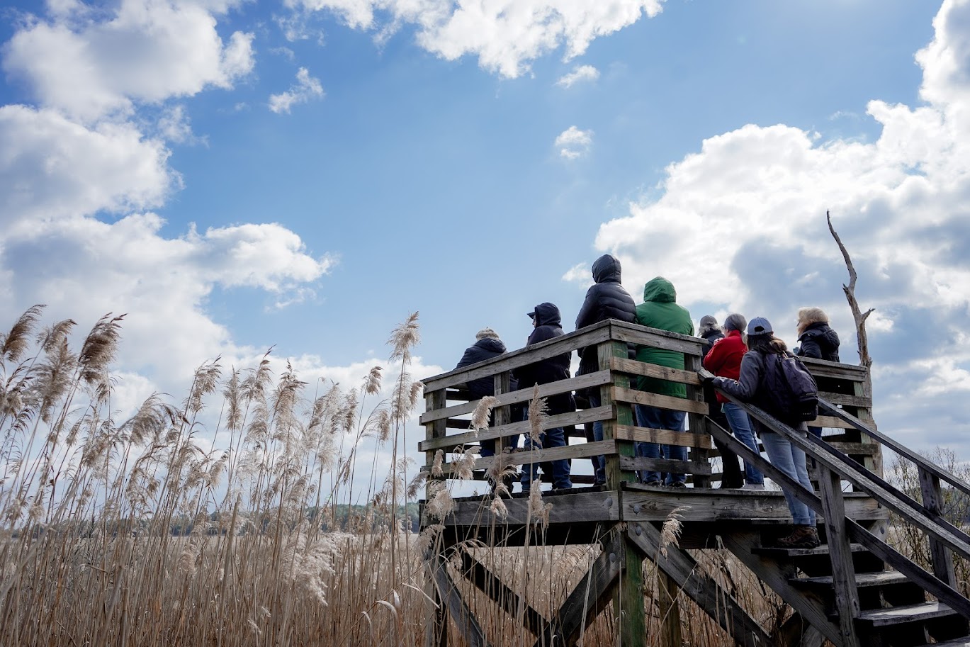 a group of people sitting on top of a wooden bench