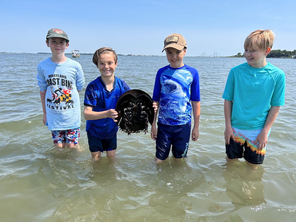 three boys are standing in the water holding a frisbee