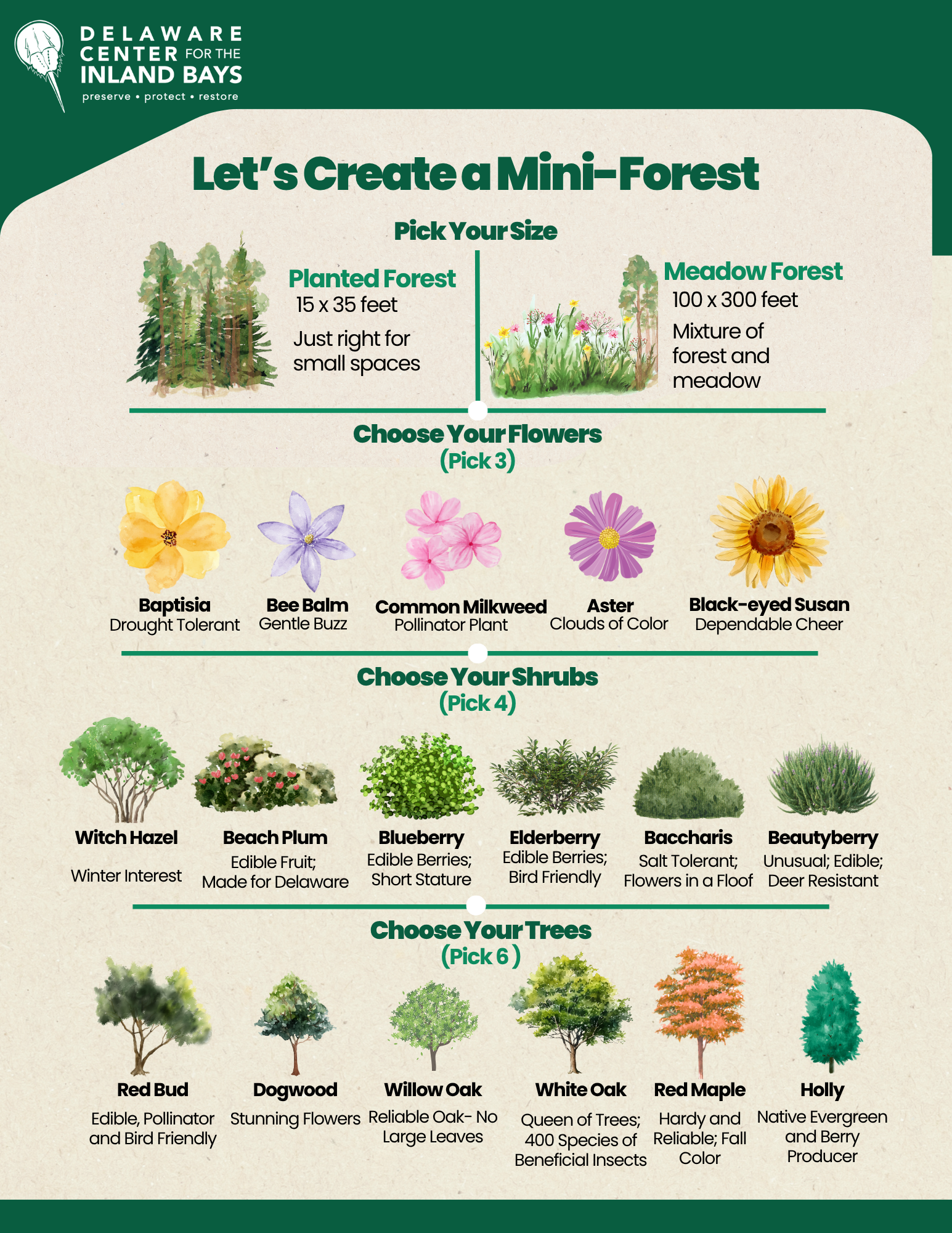 Reforestation | Delaware Center for the Inland Bays
