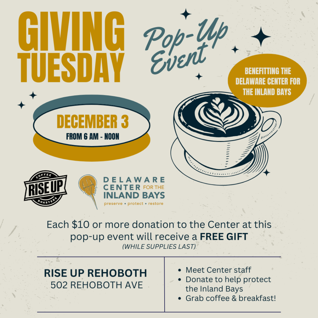 Join the Center at Rise Up in Rehoboth Beach on Giving Tuesday (December 3rd 2024) where every donation of $10 or more to the Center will receive a free gift from Rise Up (while supplies last).