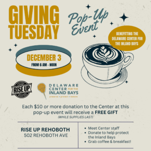 Join the Center at Rise Up in Rehoboth Beach on Giving Tuesday (December 3rd 2024) where every donation of $10 or more to the Center will receive a free gift from Rise Up (while supplies last).