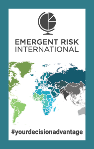 the logo for the emergency risk international