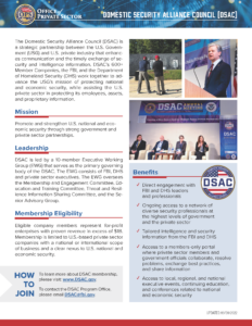 dsca at a glance flyer