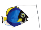 Powder Blue Surgeonfish Swimming 3d Fish Powder Blue Surgeonfish Swimming 3D Fish