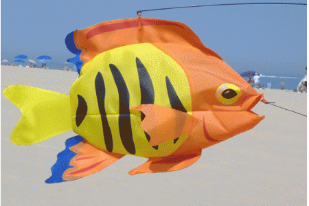 Flame Fish Swimming 3d Fish Flame Fish Swimming 3D Fish
