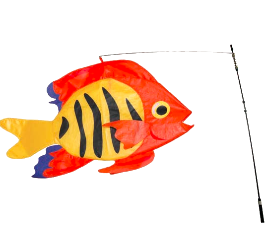 Flame Fish Swimming 3D Fish by Premier Flame Fish Swimming 3D Fish by Premier