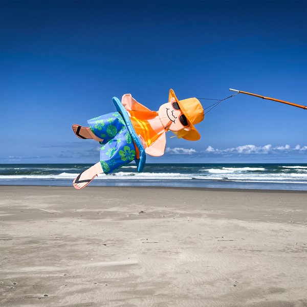 Prd2 Mn 001029 Prd2 Mn 001029