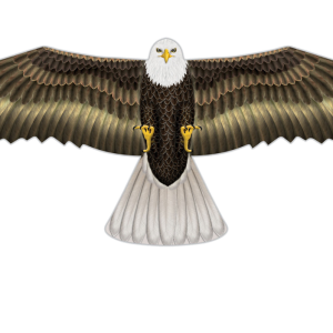 Eagle Birds Of Prey Kite - 48"