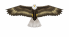 Eagle Supersize Bird Of Prey Kite - 70"
