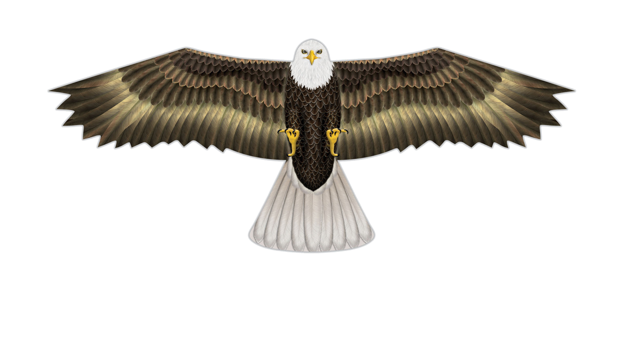 Eagle Supersize Bird Of Prey Kite 70" Eagle Supersize Bird Of Prey Kite - 70"