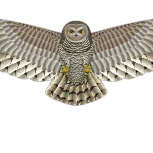 Owl Supersize Birds of Prey Kite - 67"