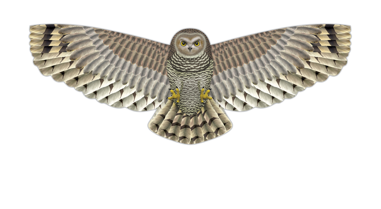 Owl Supersize Birds of Prey Kite - 67" Owl Supersize Birds of Prey Kite - 67"