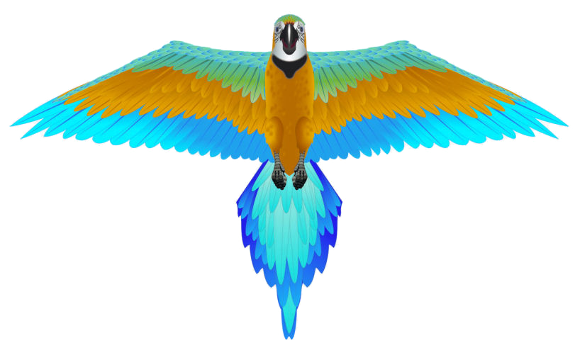 Rainforest Blue Macaw Kite - 61" Rainforest Blue Macaw Kite - 61"