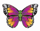 Butterfly SuperWings Nylon Kite - 50"