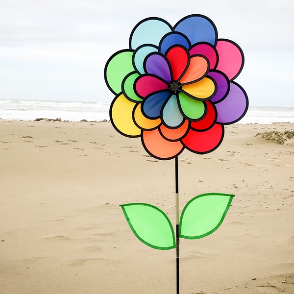 Prd2 Mn 002049 Prd2 Mn 002049