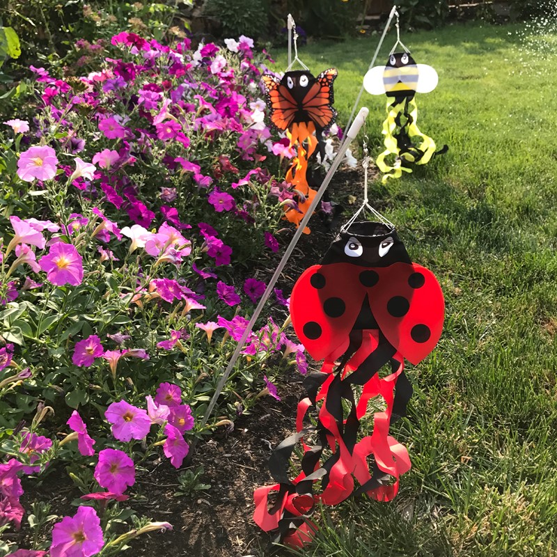 Prd3 Mn 002777 Prd3 Mn 002777