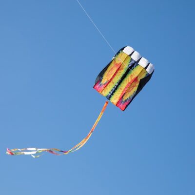 Prd1 Mn 000408