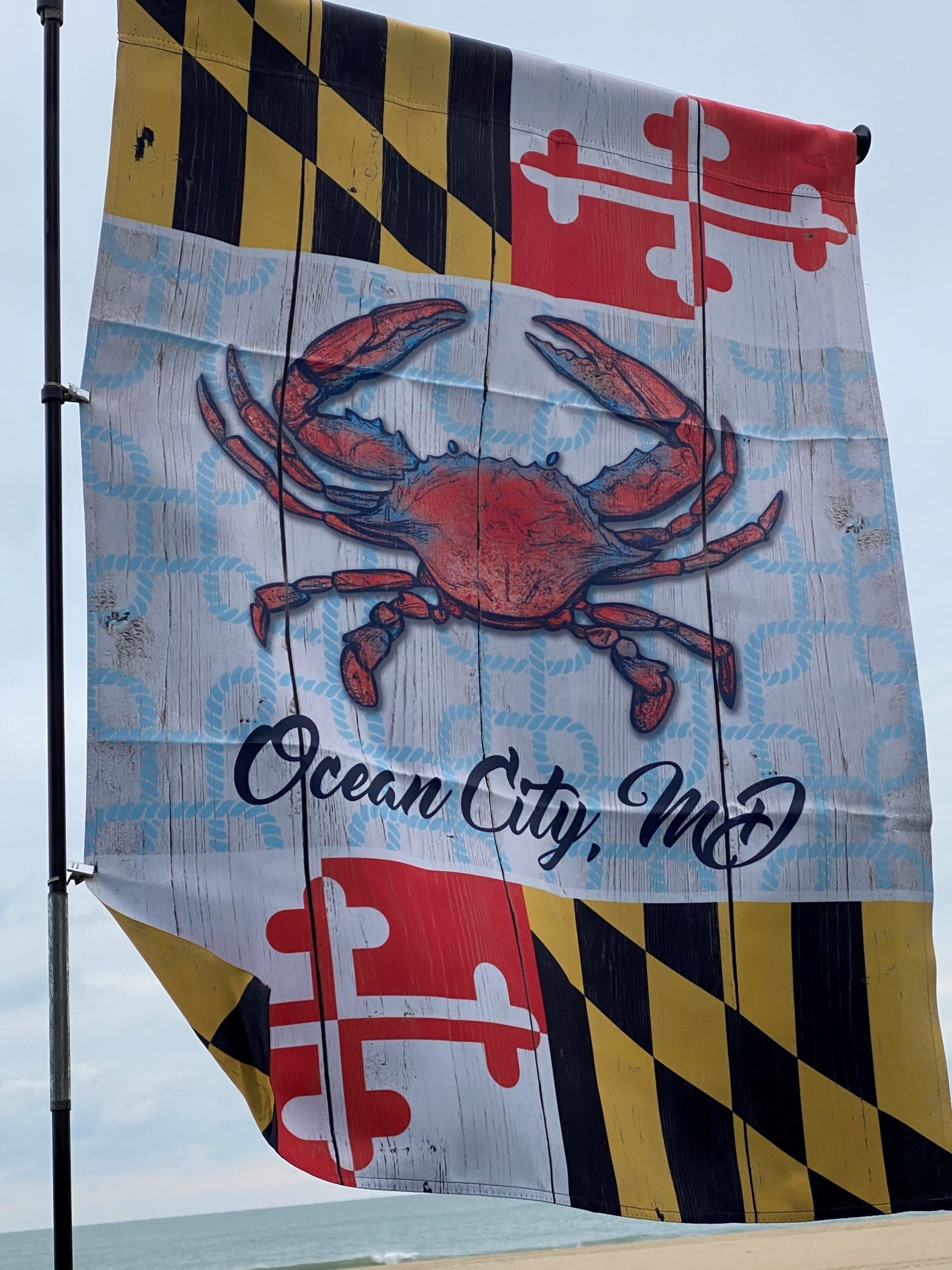 Pivoting House Banner Flag Pole Pivoting House Banner Flag Pole