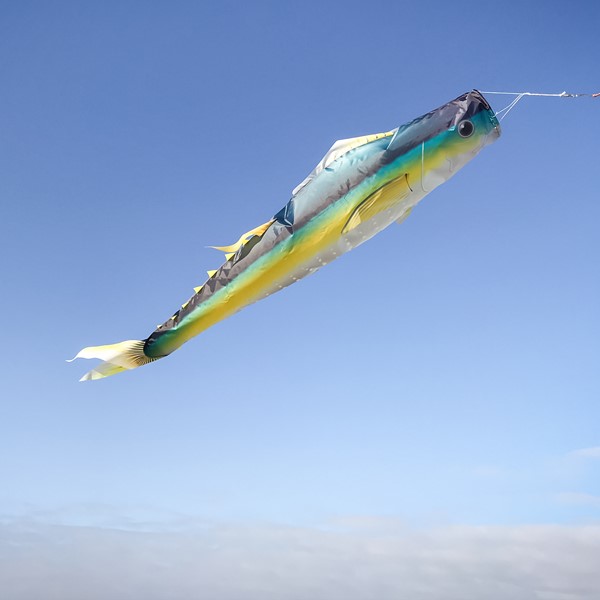 Prd2 Mn 004124 Prd2 Mn 004124