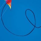 Poly Tube 50' Stunt Kite Tail by Into The Wind