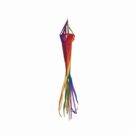 Rainbow Spinsock by In The Breeze - 24"