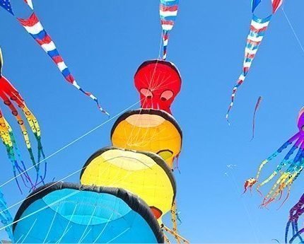 Shop Single Line Kites 1