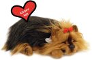 Perfect Petzzz Yorkie