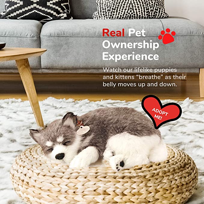 Perfect Petzzz Alaskan Husky Perfect Petzzz Alaskan Husky