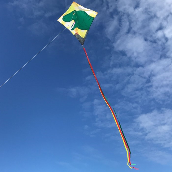 DINOSAUR 30" DIAMOND KITE BY ITB DINOSAUR 30" DIAMOND KITE BY ITB