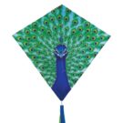 Peacock 30" Diamond Kite