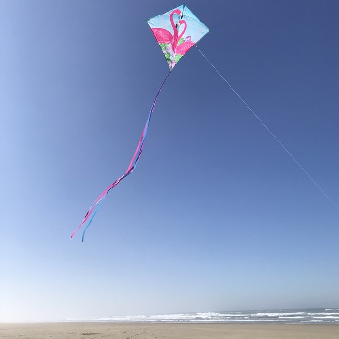 FLAMINGO 30" DIAMOND KITE BY ITB FLAMINGO 30" DIAMOND KITE BY ITB