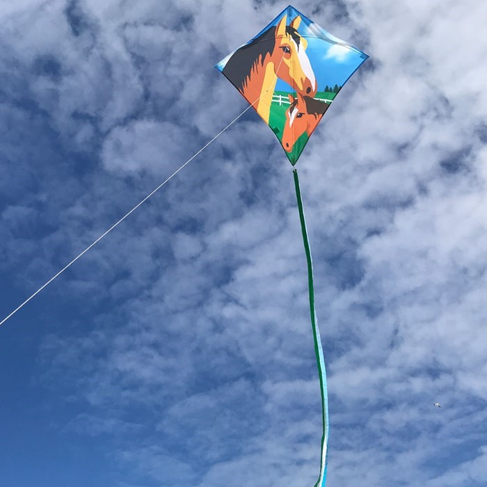 MARE & FOAL 30" DIAMOND KITE MARE & FOAL 30" DIAMOND KITE