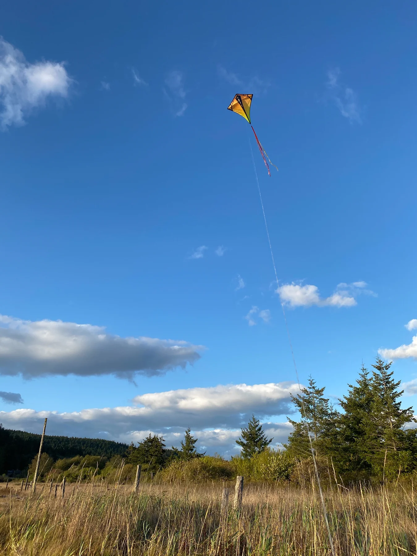 Prism Vertex Diamond Kite-Violet Prism Vertex Diamond Kite-Violet