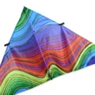 Electromagnetic Rainbow Delta Kite by Premier