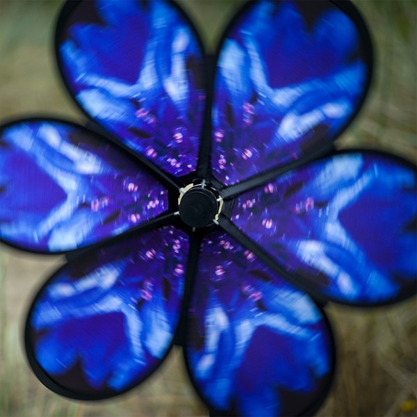 Prd2 Mn 004540 Prd2 Mn 004540