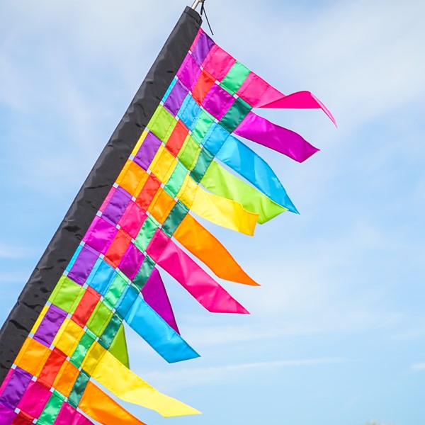 Prd2 Mn 004657 Prd2 Mn 004657