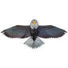 Bald Eagle Kite 70"