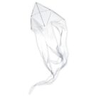 White Wave Delta Kite