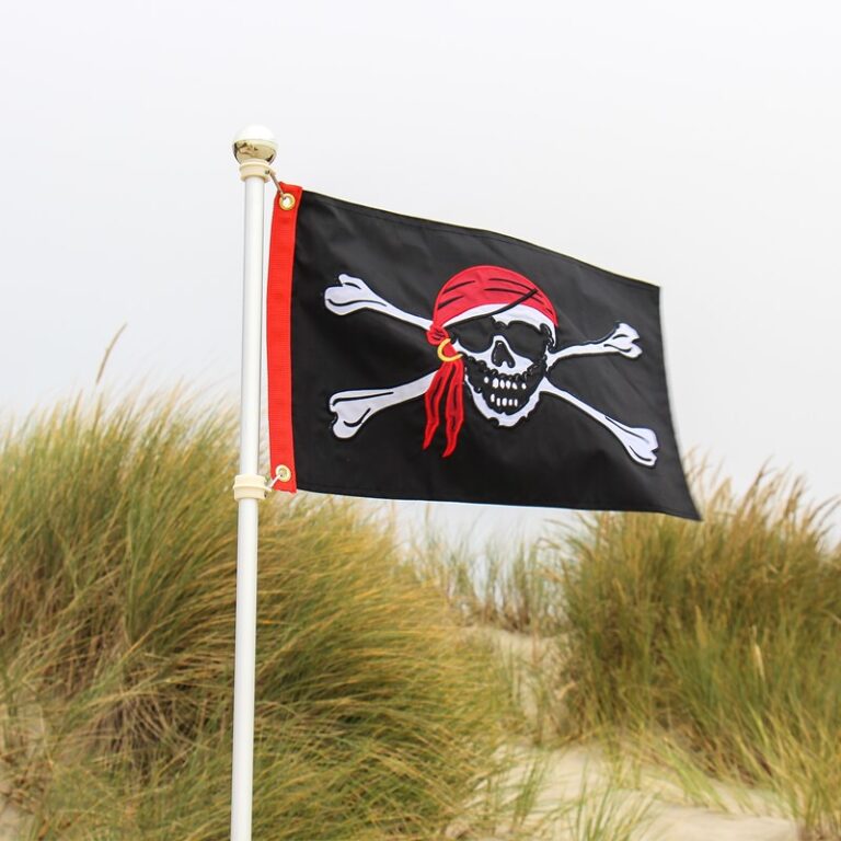 Quadro Jolly Roger Pirata 33x24cm Moldura E Vidro | Shopee Brasil - Foto 6