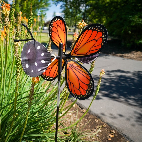 Prd2 Mn 004642 Prd2 Mn 004642