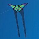 Brasington Butterfly Kite