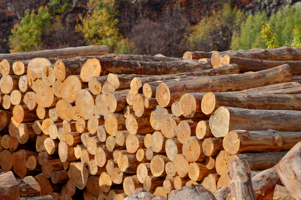 lumber tariff