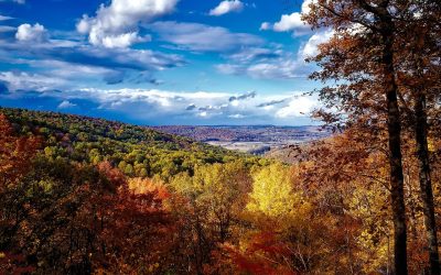 a scenic view of trees in the fall