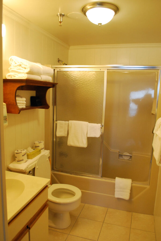 a bathroom with a shower, toilet and sink